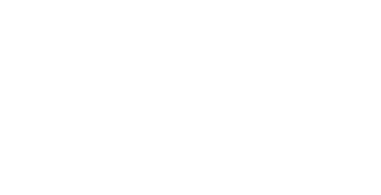 Temi Magg